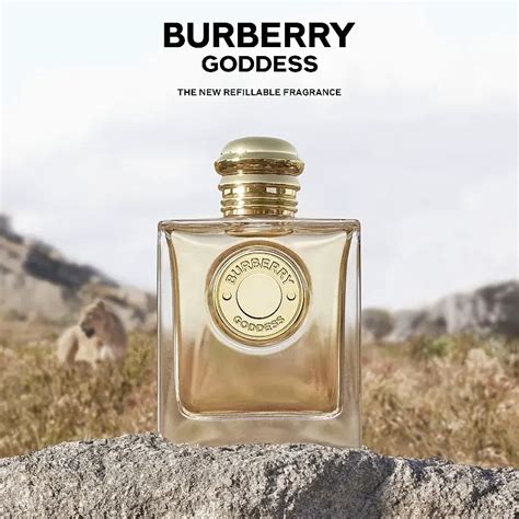 burberry by burberry perfume|burberry perfume website.